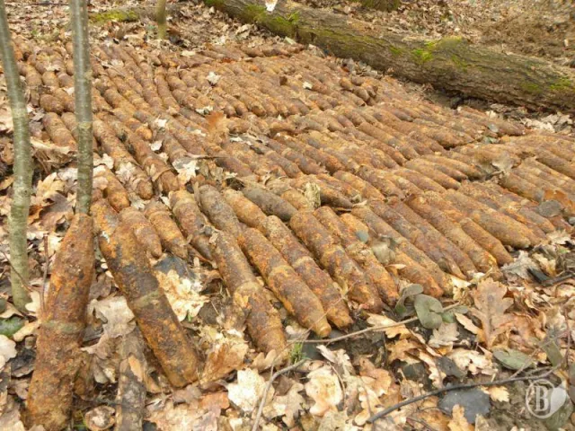 Піротехніки очистили Ніжин від вибухонебезпечних предметів — фото 1