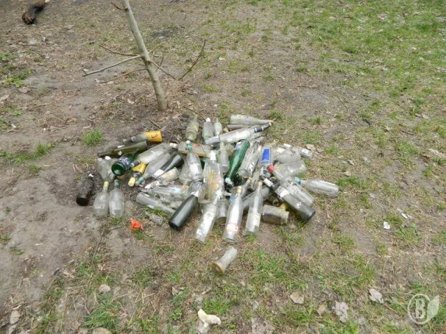 Сотні чернігівців вийшли з самого ранку на загальноміський суботник (Фоторепортаж) — фото 9