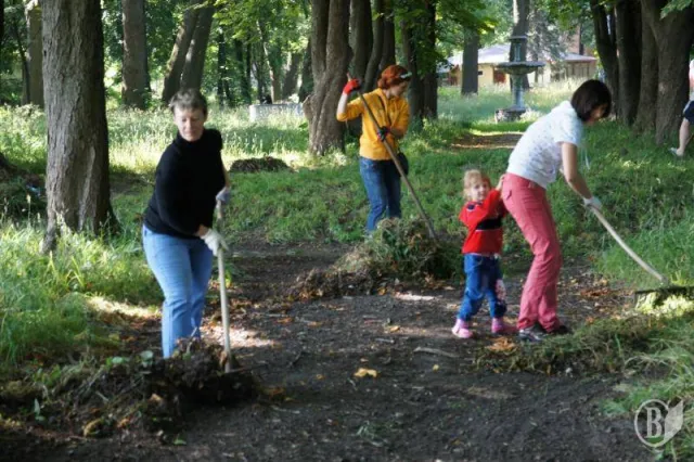 В Чернігові впорядковують врятований Залізничний парк (Фото) + (Відео) — фото 1